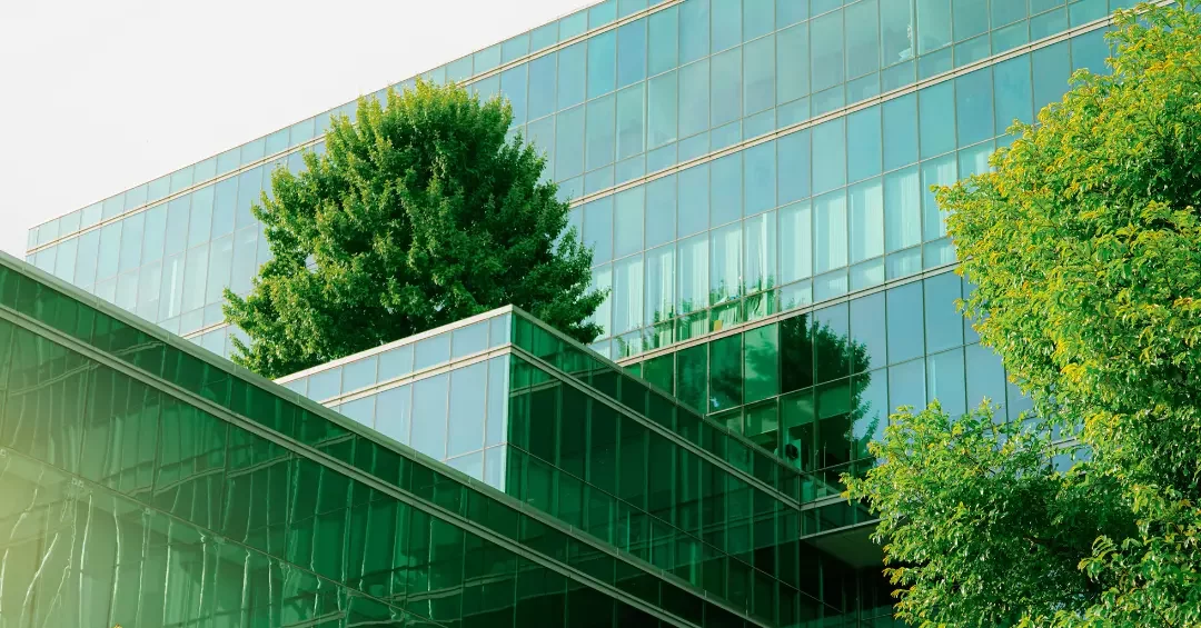 Nachhaltigkeit in Unternehmen: Der Schlüssel zu langfristigem Erfol